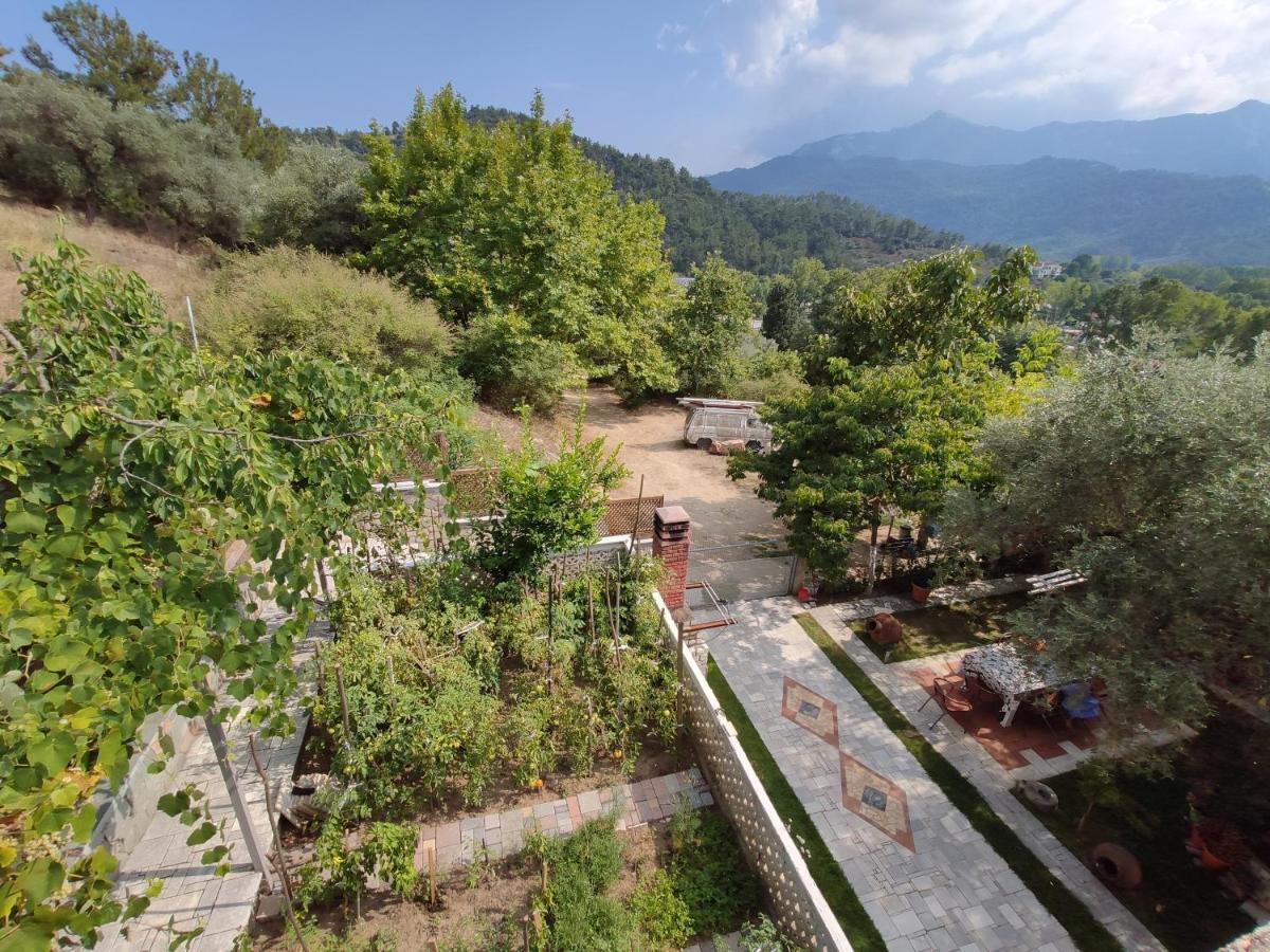 Elpida Apartment Thasos Extérieur photo